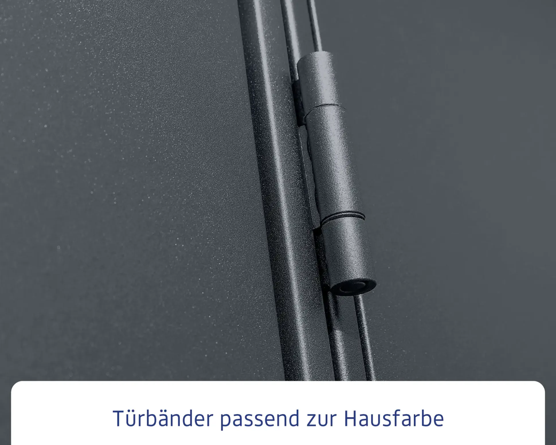 EcoStar Gerätehaus Elegant-P Typ 3 anthrazitgrau 312,7 x 283,4 x 232,3 cm