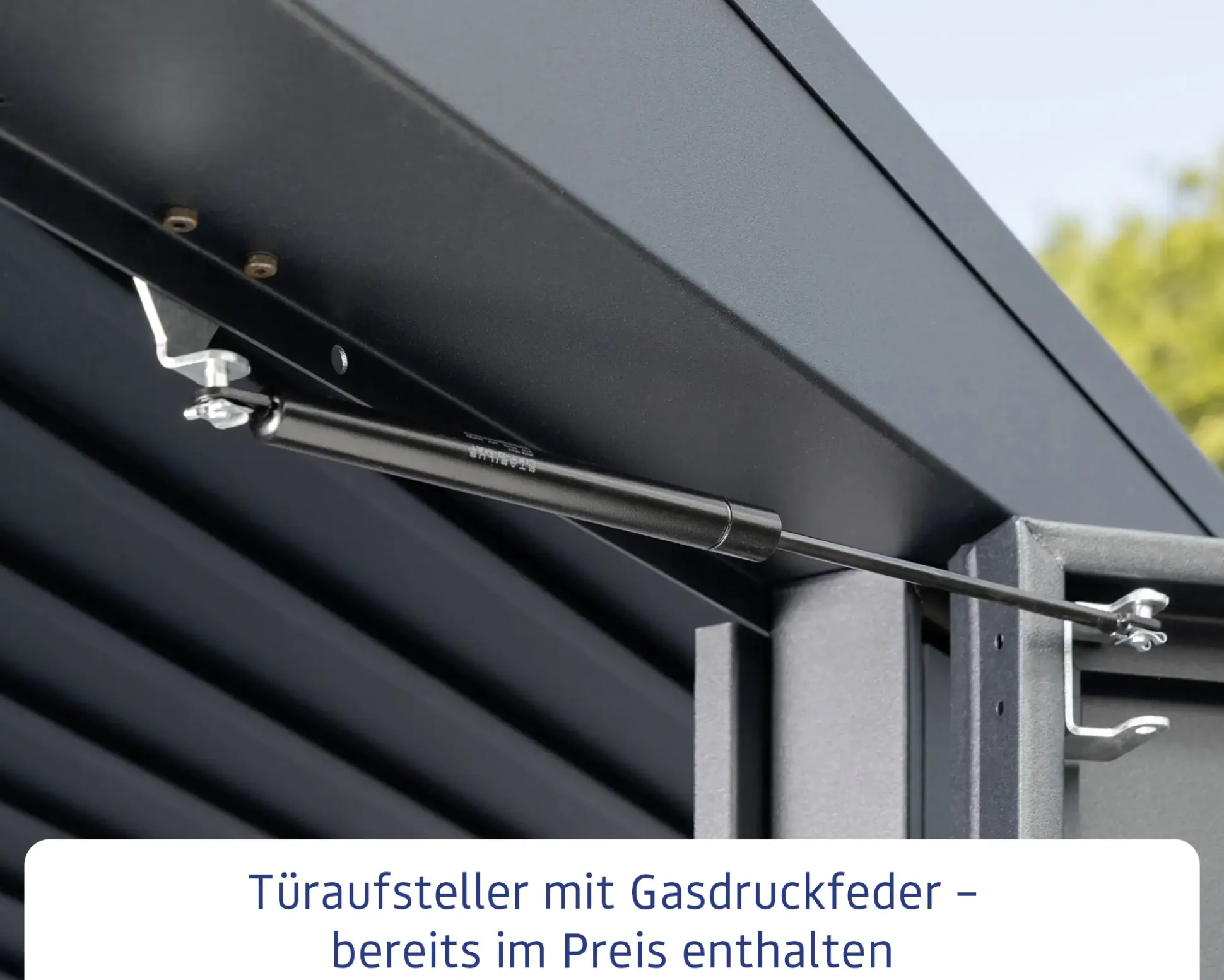 EcoStar Gerätehaus Elegant-P Typ 3 312,7 x 283,4 x 232,3 cm anthrazitgrau