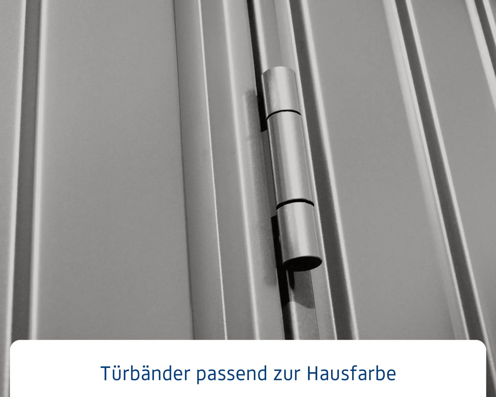 EcoStar Gerätehaus Trend-P Typ 2 247,9 x 283,4 x 232,3 cm graualuminium