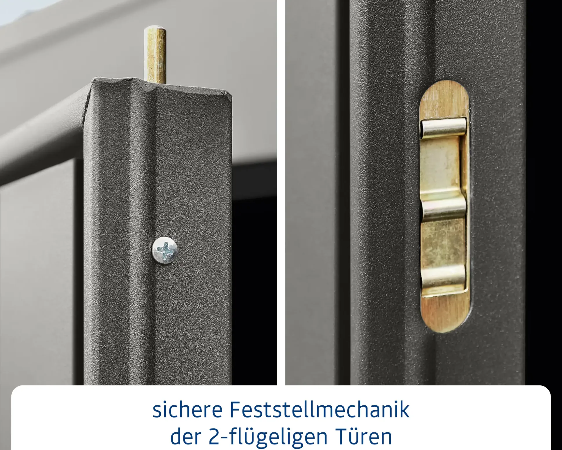 EcoStar Gerätehaus Trend-P Typ 2 247,9 x 283,4 x 232,3 cm graualuminium