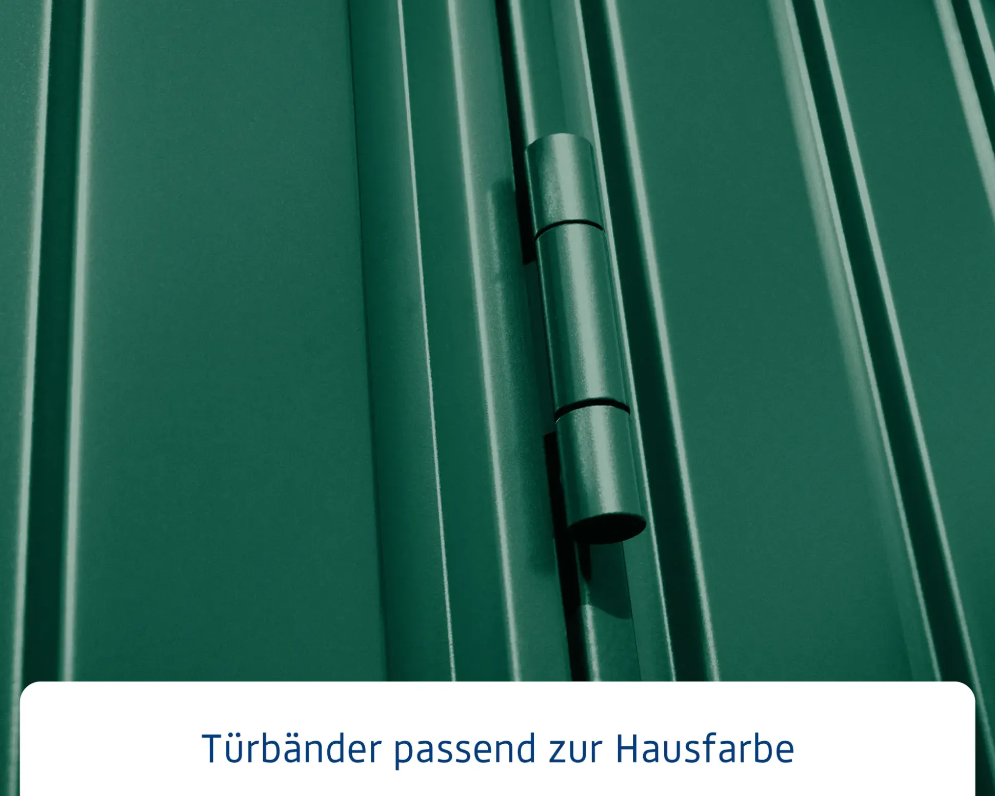 EcoStar Gerätehaus Trend-P Typ 3 312,7 x 283,4 x 232,3 cm moosgrün