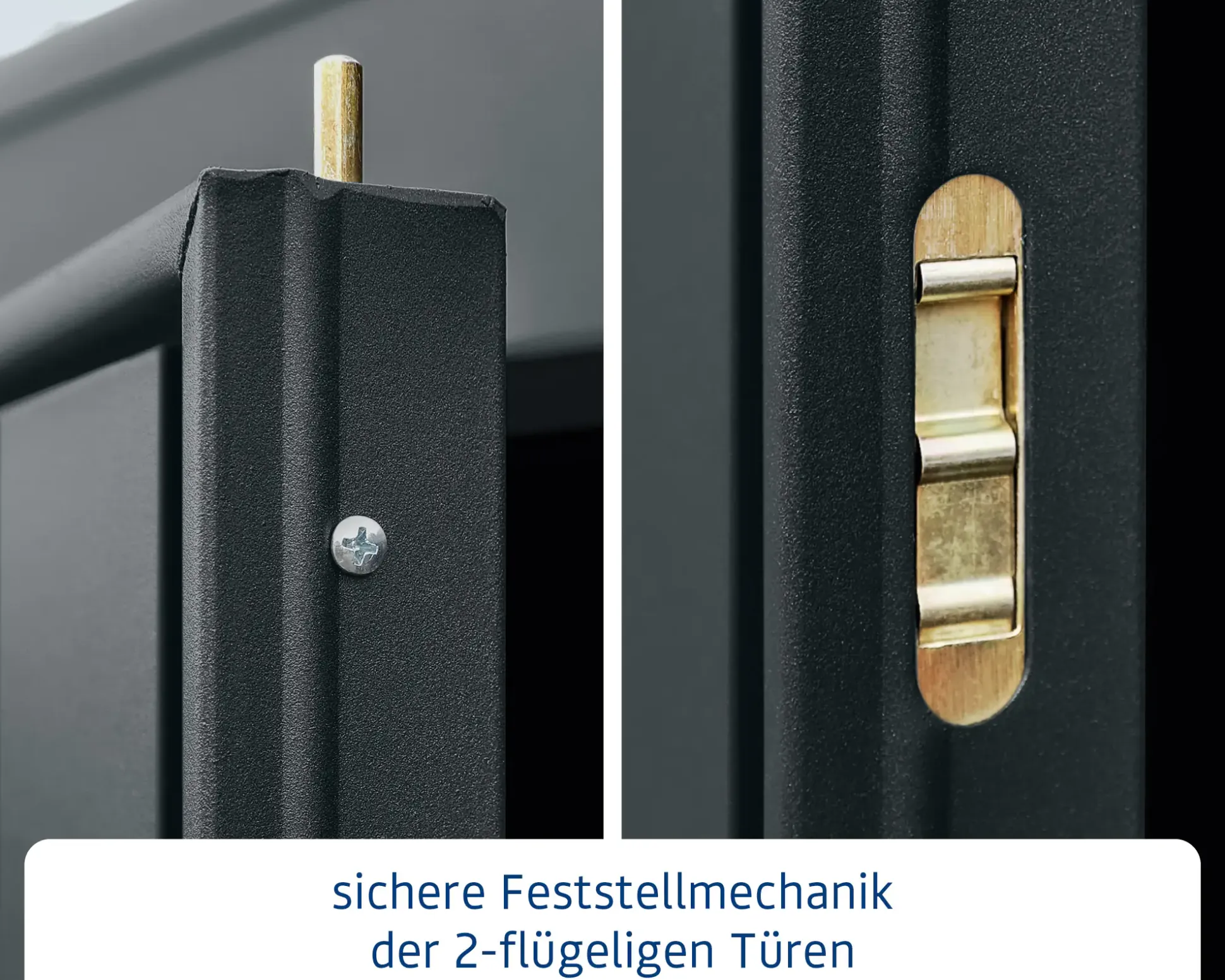 EcoStar Gerätehaus Trend-P Typ 1 anthrazitgrau 247,9 x 153 x 228,6 cm