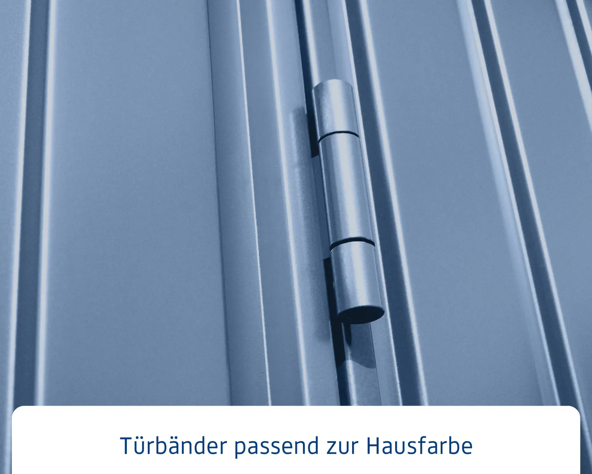 EcoStar Gerätehaus Trend-P Typ 1 taubenblau 247,9 x 153 x 228,6 cm