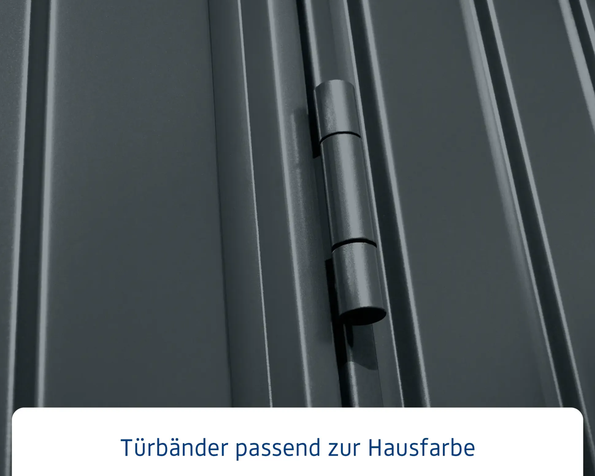 EcoStar Gerätehaus Trend-P Typ 2 anthrazitgrau 247,9 x 283,4 x 232,3 cm