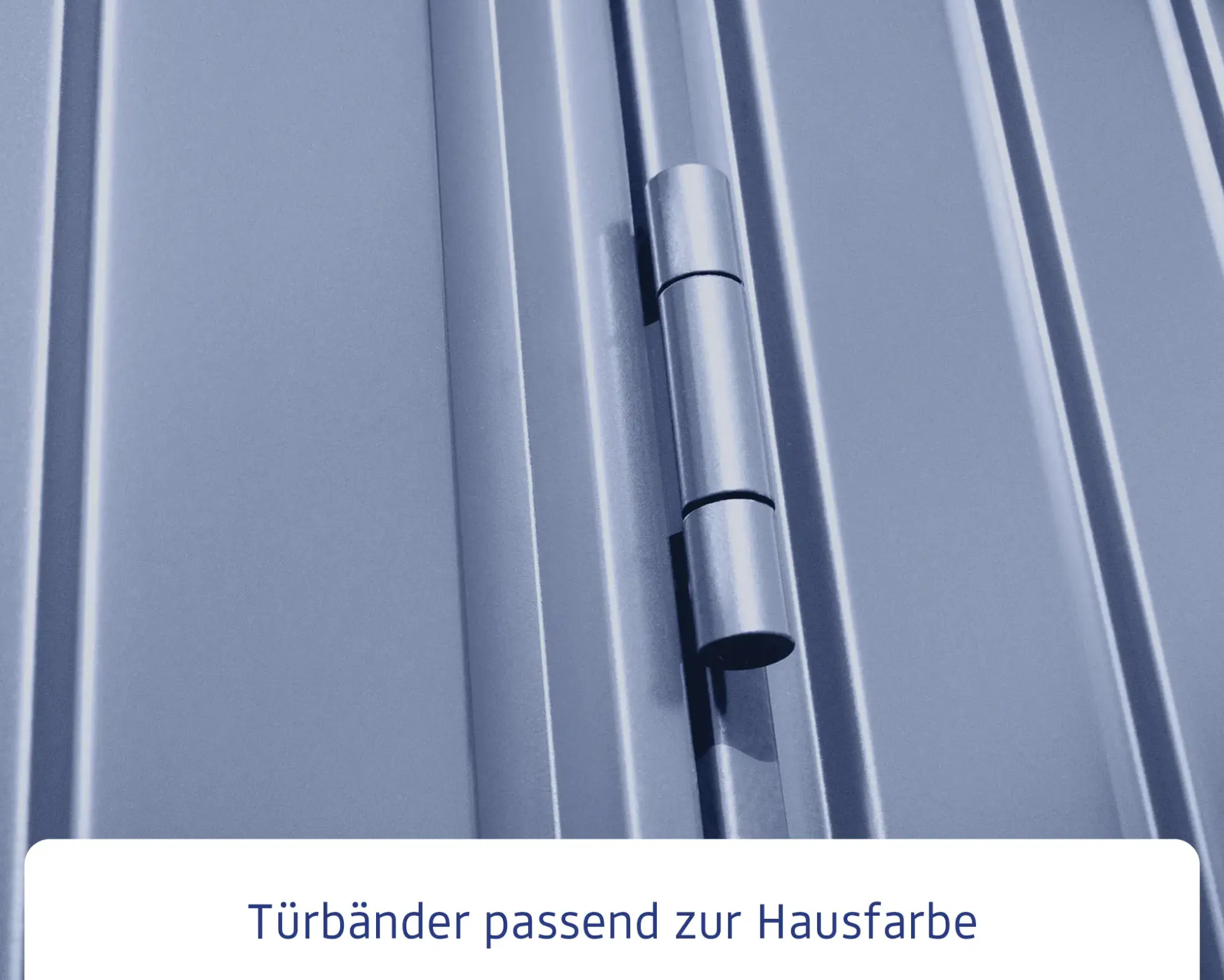 Ecostar Gerätehaus Trend-S Typ 1 258,8 x 121,3 x 216 cm taubenblau