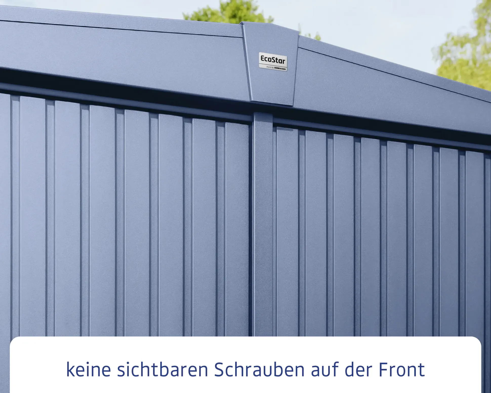 Ecostar Gerätehaus Trend-S Typ 1 258,8 x 121,3 x 216 cm taubenblau