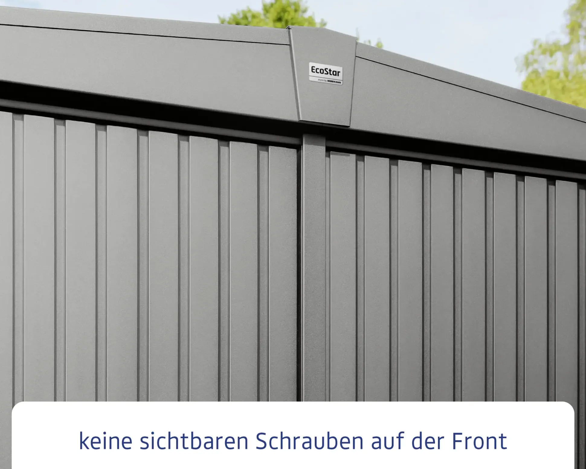 EcoStar Gerätehaus Trend-S Typ 2 258,8 x 247,7 x 216 cm graualuminium