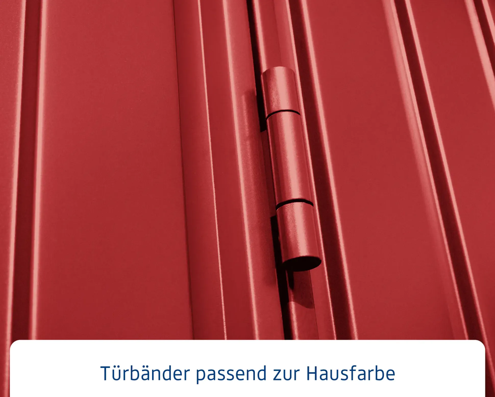 EcoStar Gerätehaus Trend-S Typ 3 purpurrot 323,6 x 247,7 x 219,4 cm