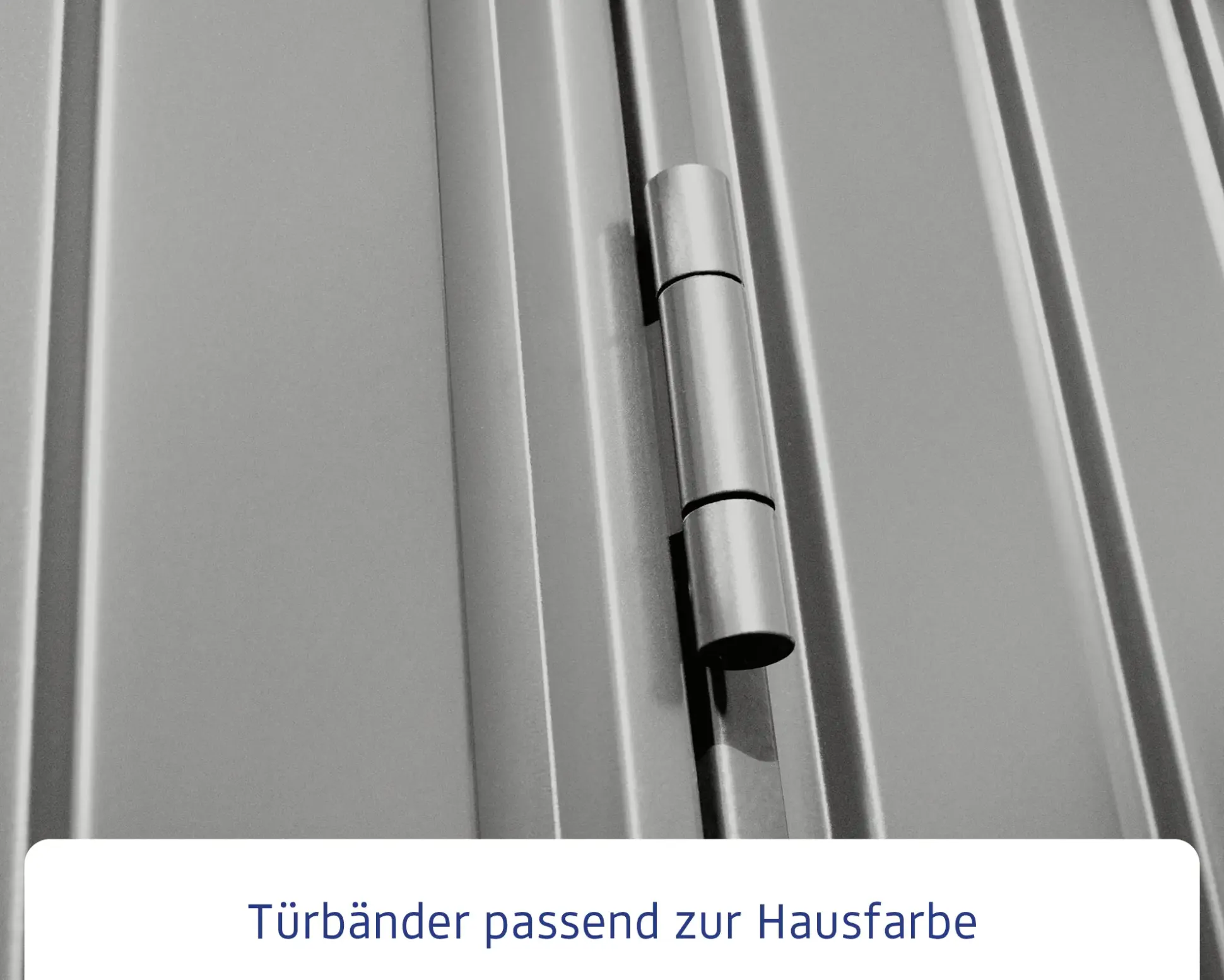 EcoStar Gerätehaus Trend-S Typ 1 258,8 x 121,3 x 216 cm graualuminium