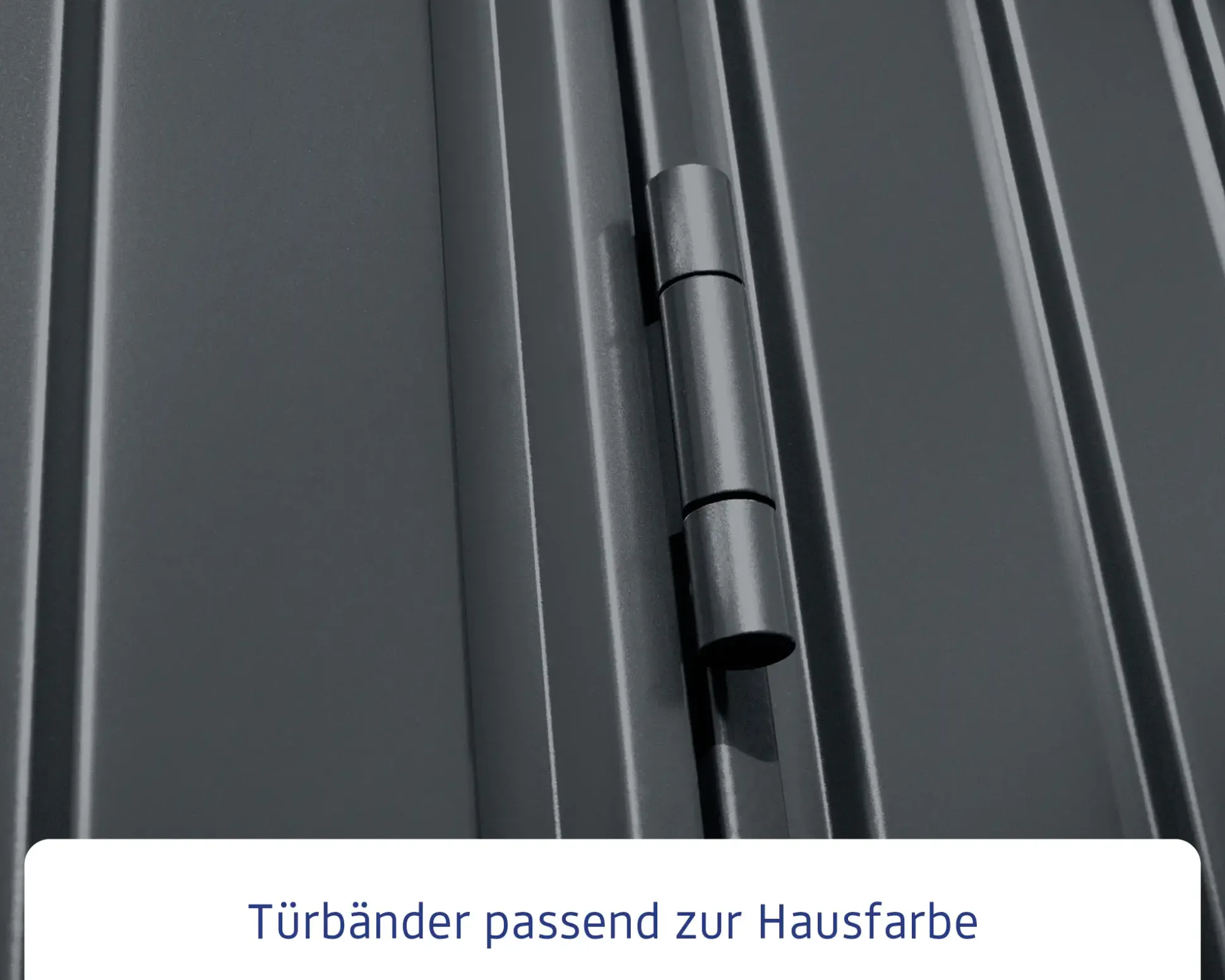 EcoStar Gerätehaus Trend-S Typ 1 258,8 x 121,3 x 216 cm anthrazitgrau