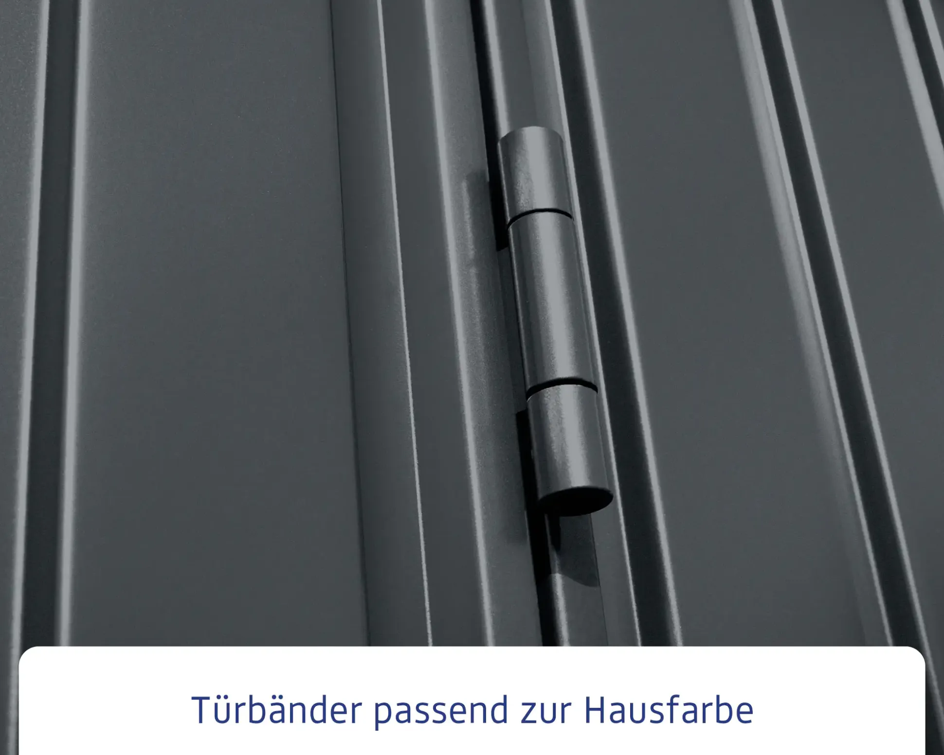 EcoStar Gerätehaus Trend-S Typ 2 258,8 x 247,7 x 216 cm anthrazitgrau