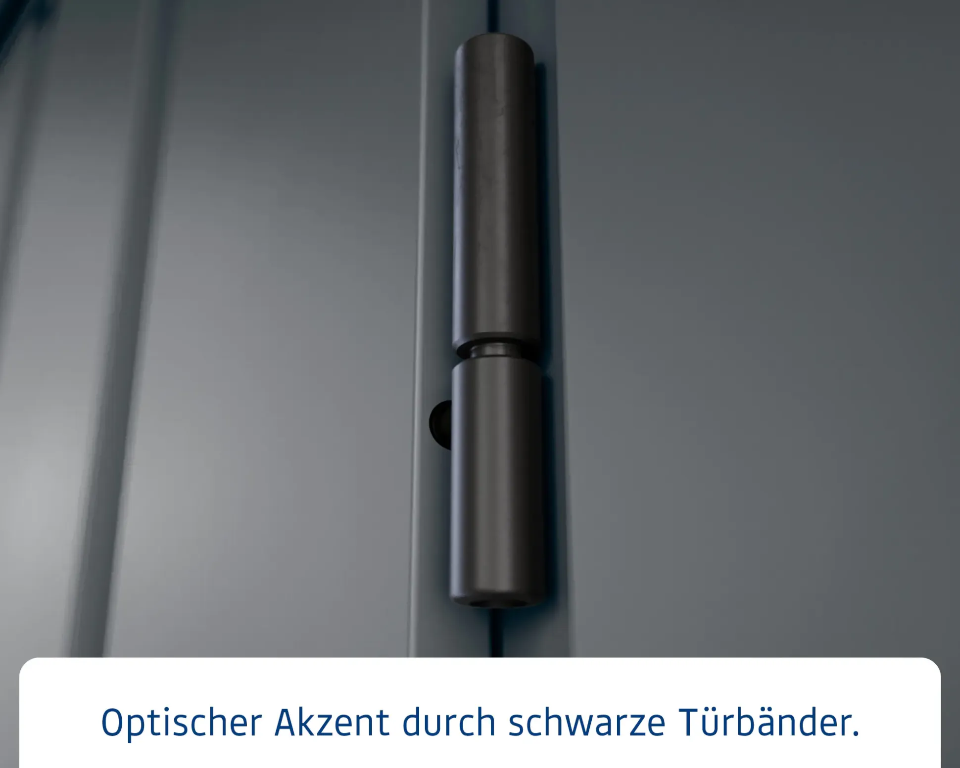 EcoStar Metallgerätehaus Euroline EFD10 LB anthrazit 262 x 262 cm 2-flg.