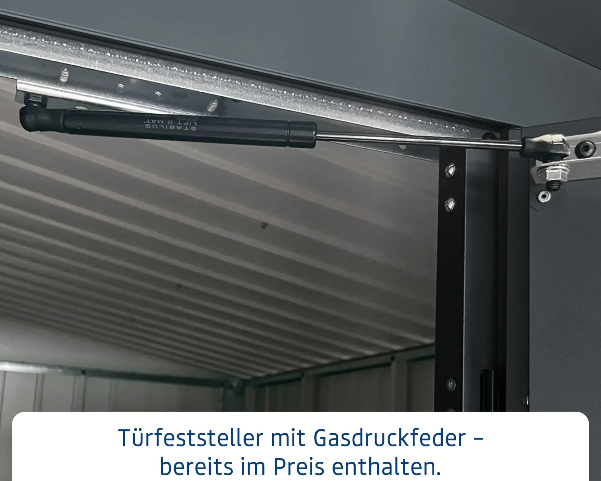 EcoStar Metallgerätehaus Euroline EFD10 LB anthrazit 262 x 262 cm 1-flg.