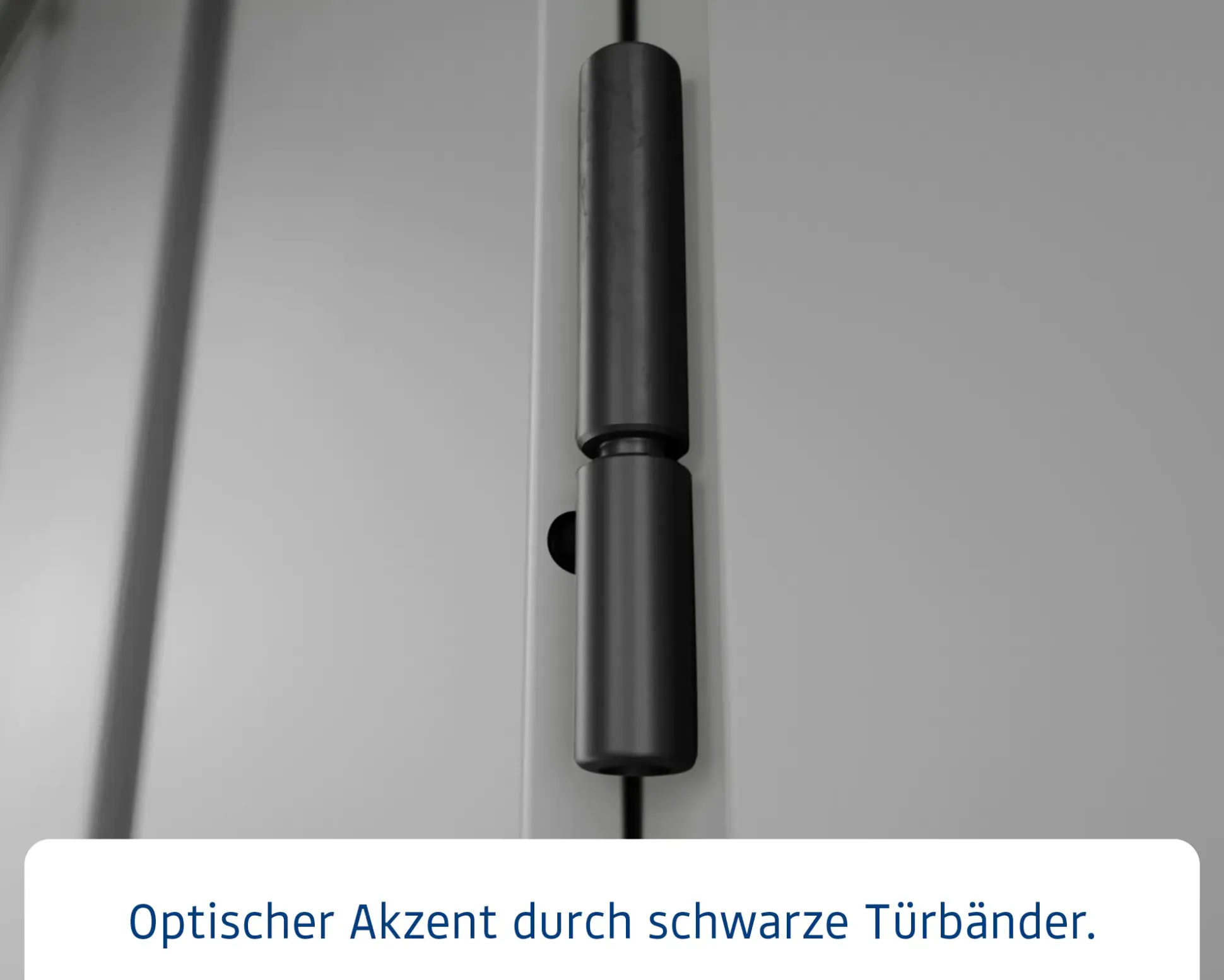 EcoStar Metallgerätehaus Euroline EFD10 LB graualuminium 262 x 262 cm 2-flg.