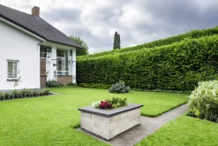 EHL Betonsteine Hochbeet Tribus CityPur 173 x 93 cm sandstein-nuanciert