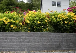 EHL Mauerstein Anzio Light Normalstein 50 x 18 x 15 cm basalt-anthrazit