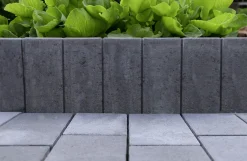 EHL Palisade Palibord Lima Rechteck 50 x 25 x 6 cm anthrazit