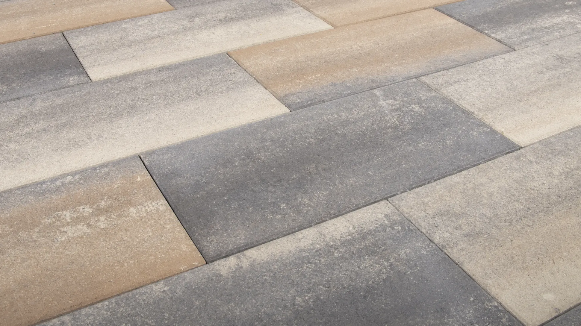 EHL Terrassenplatte Bellaria 80 x 40 x 5 cm muschelcreme
