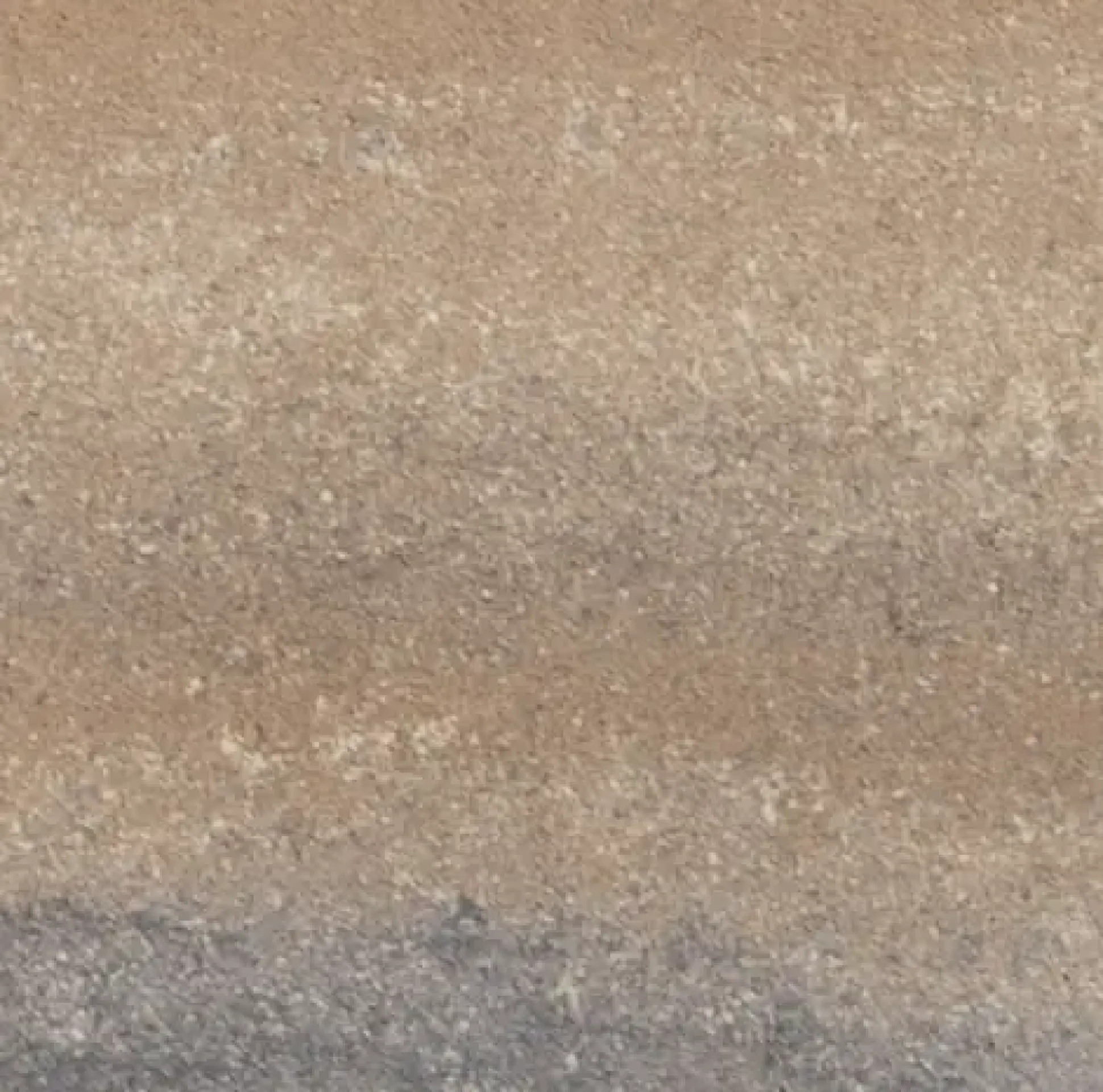 EHL Terrassenplatte Bellaria 80 x 40 x 5 cm muschelcreme