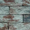 EHL Mauerstein Anzio Antik Light Normalstein 50 x 18 x 15 cm muschelkalk