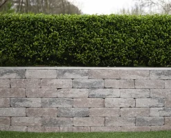 EHL Mauerstein Anzio Antik Light Normalstein 50 x 18 x 15 cm muschelkalk