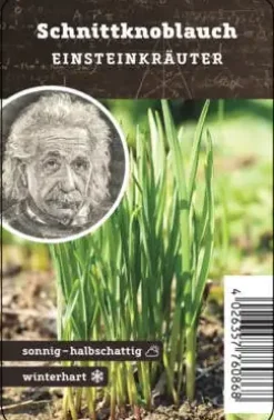 Einsteinkräuter - Schnittknoblauch 12 cm Topf