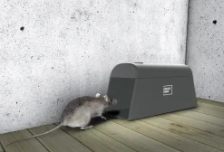 Elektronische Maus- und Rattenfalle SuperCat