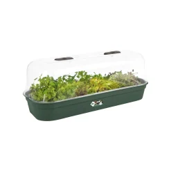 Elho Anzuchtschale Green Basic Gr. L laubgrün 51 x 19 cm