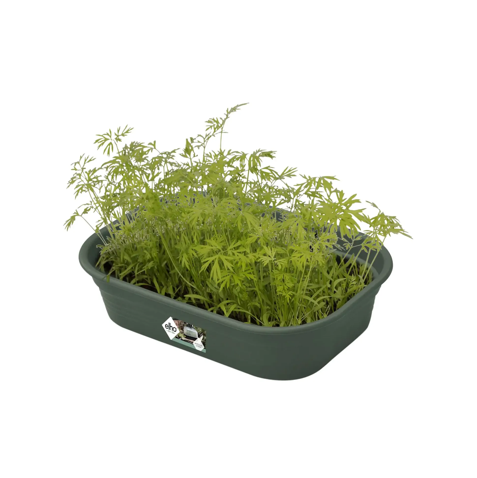 Elho Anzuchtschale Green Basic Gr. S laubgrün 24 x 17 cm