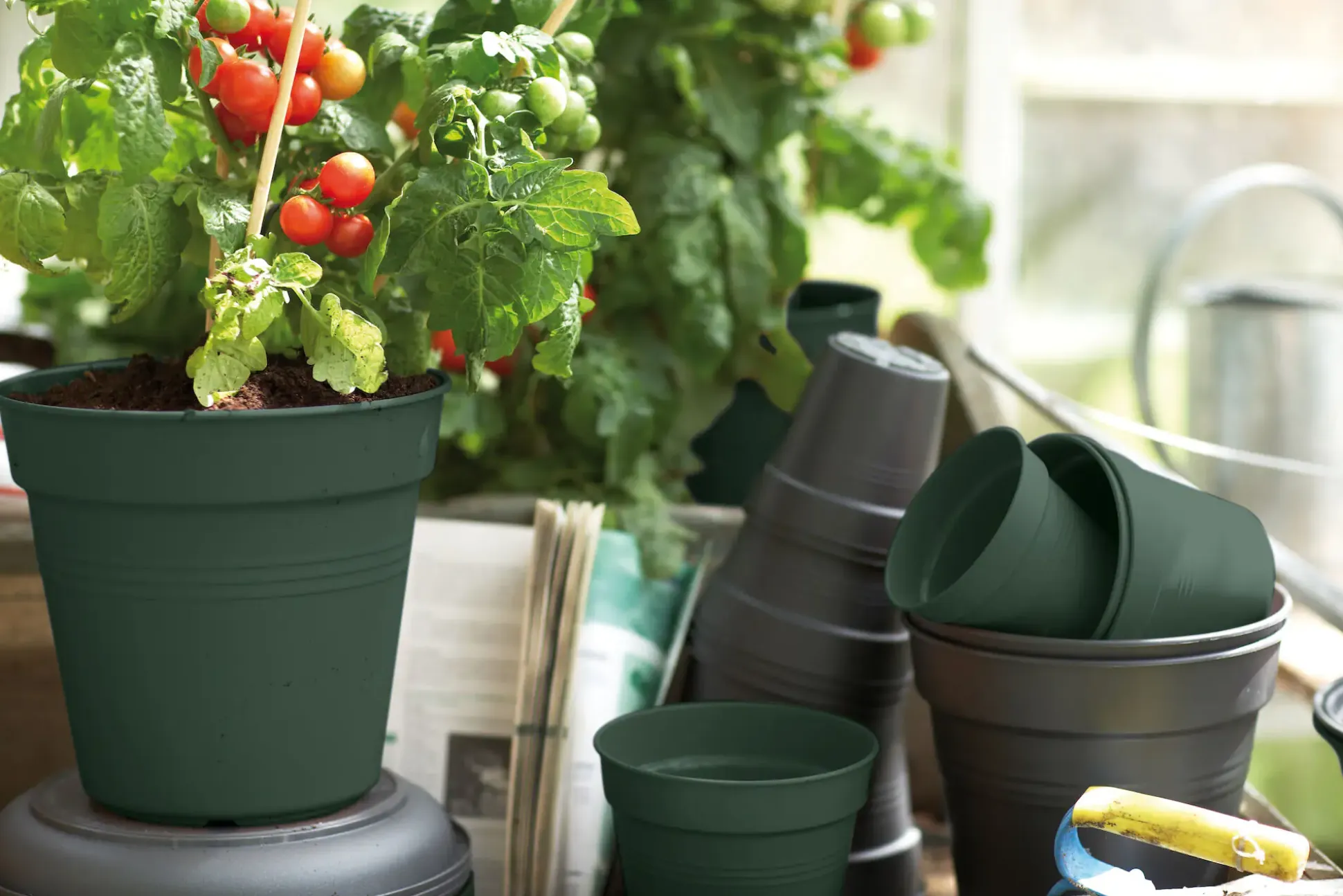 Elho Anzuchtstopf Green Basics Ø 11 cm grün