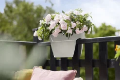 Elho Blumenkasten Vibia Campana Flower Bridge 40 weiß