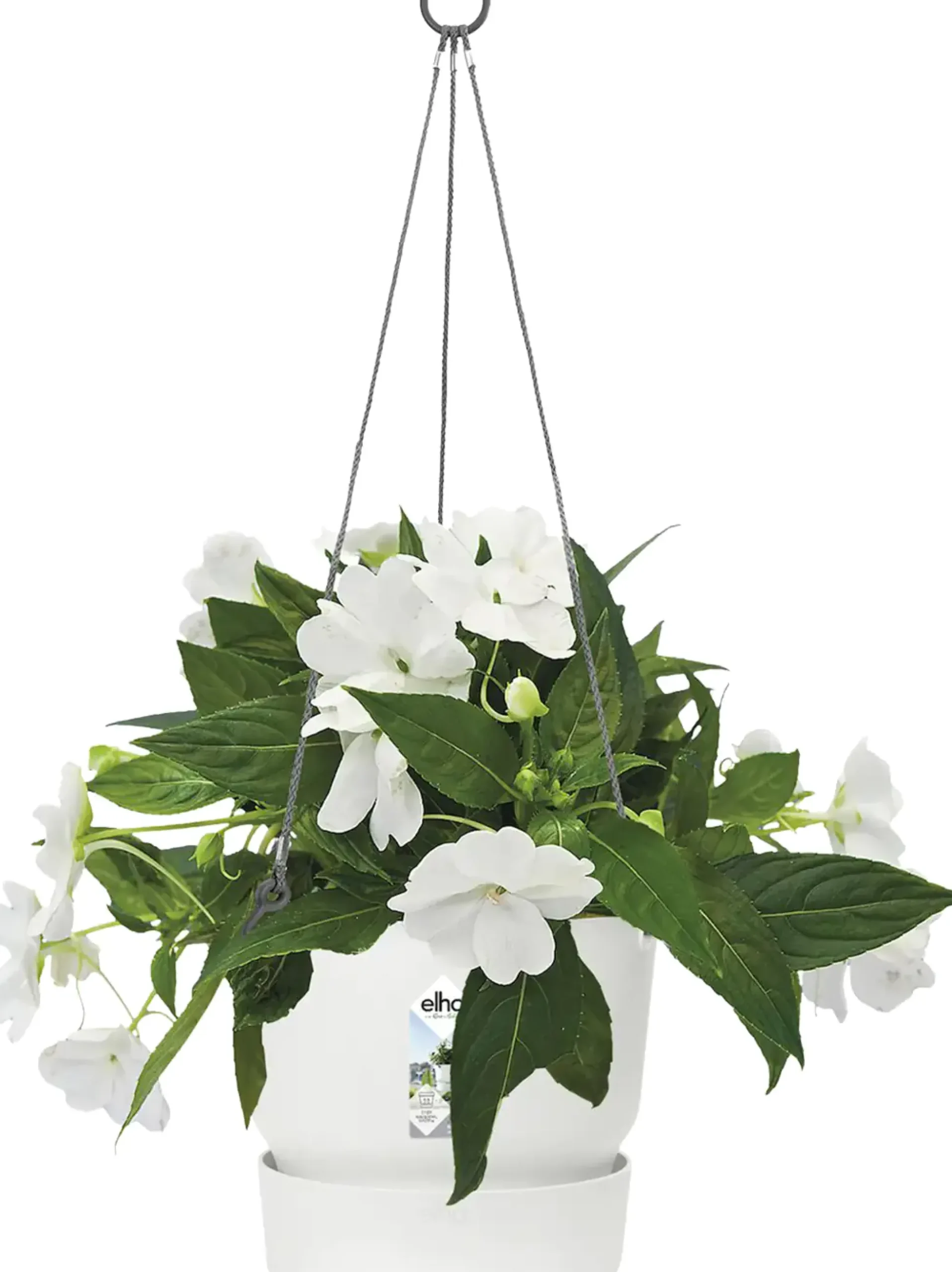 Elho Hängeampel Greenville weiß Ø 24 cm