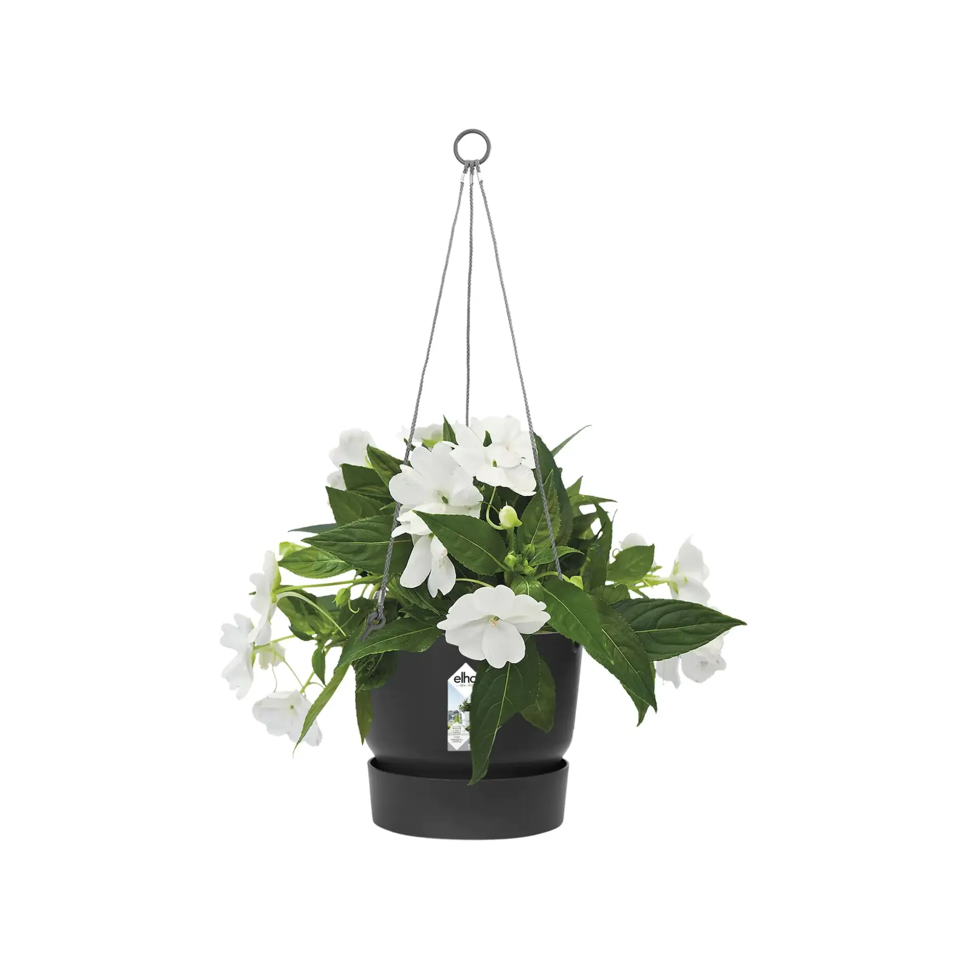 Elho Hängeampel Greenville schwarz Ø 24 cm