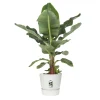 Elho Pflanztopf Greenville Ø 40 x 37 cm weiß
