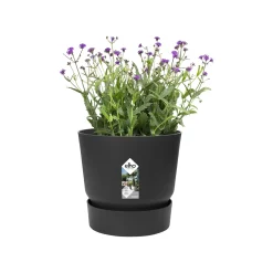 Elho Pflanztopf Greenville Ø 25 x 23 cm living schwarz