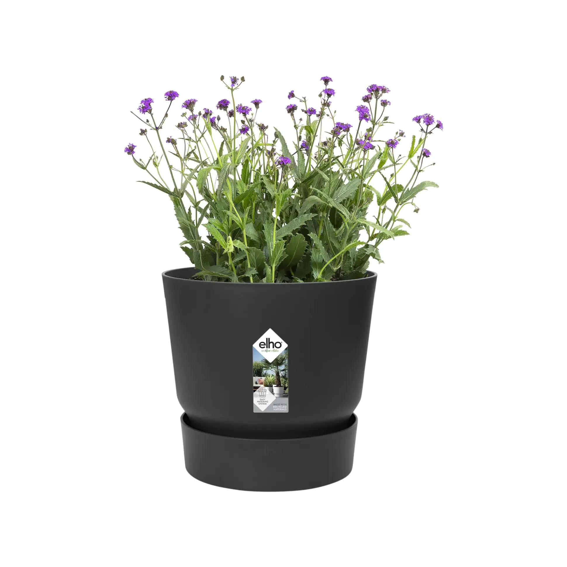 Elho Pflanztopf Greenville Ø 25 x 23 cm living schwarz