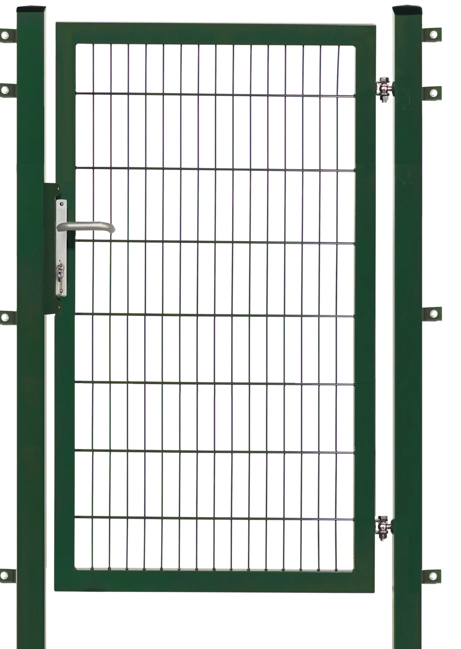 Floraworld Gartentor Premium 100 x 160 cm moosgrün