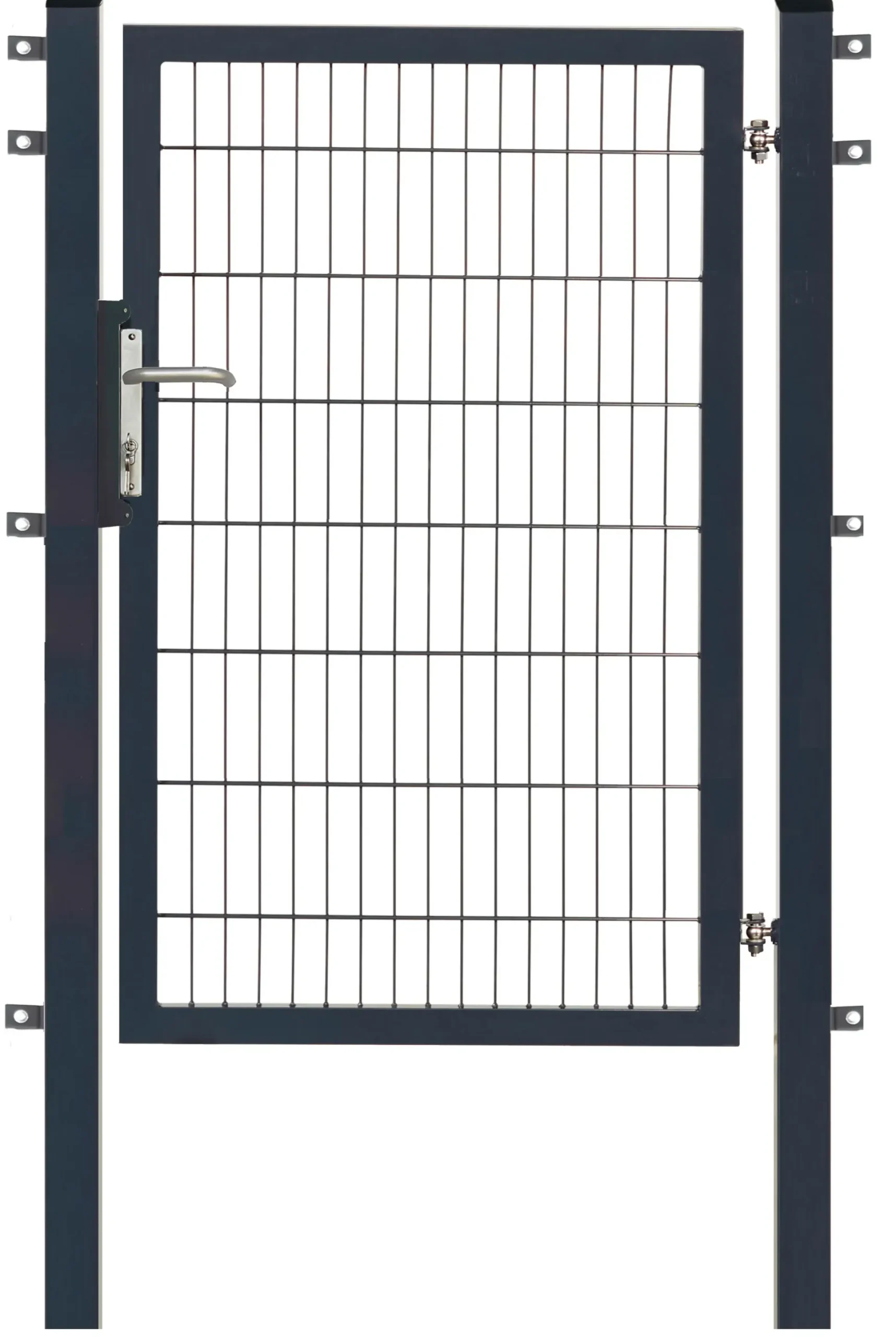 Floraworld Gartentor Premium 100 x 160 cm anthrazit