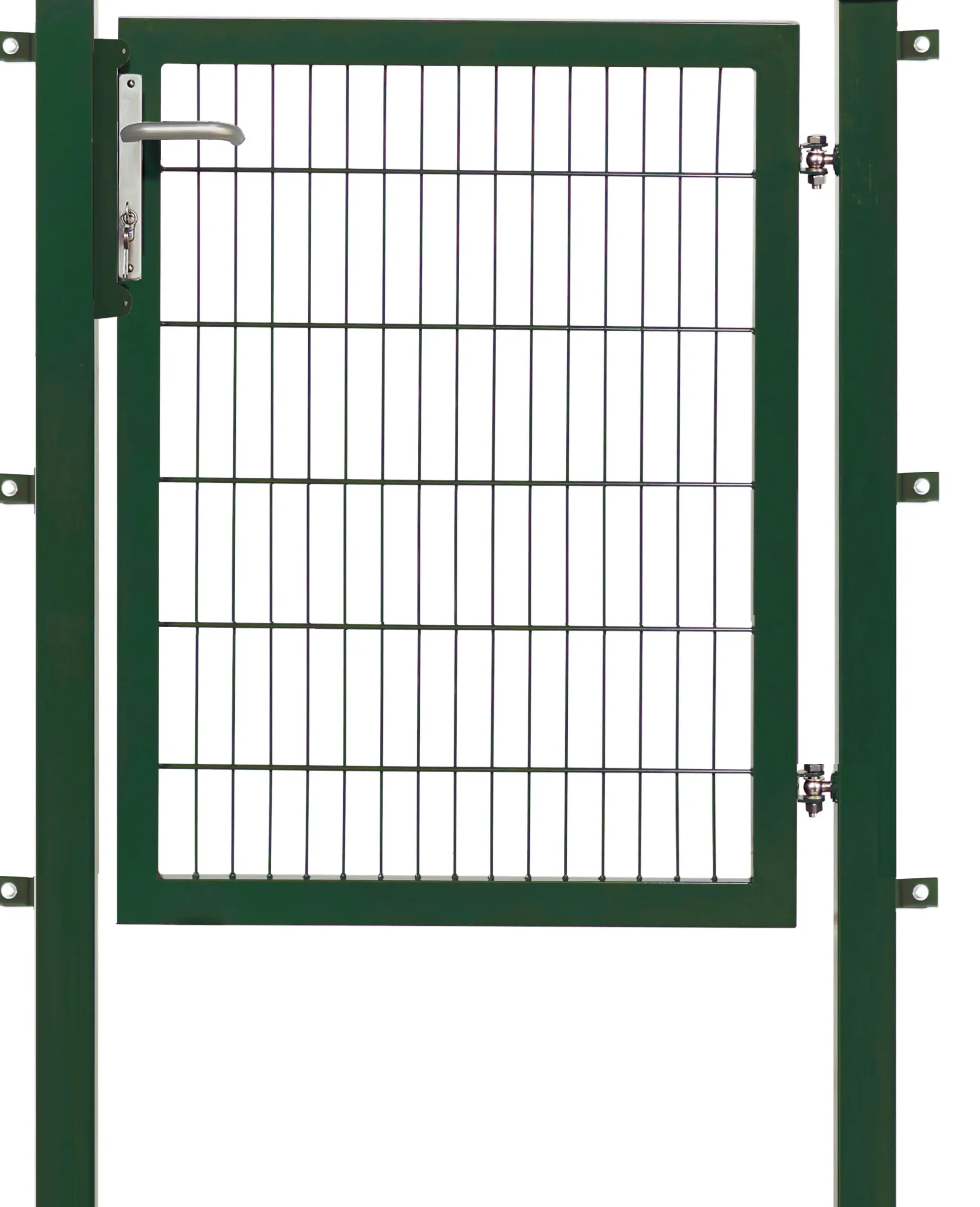 Floraworld Gartentor Premium 100 x 120 cm moosgrün