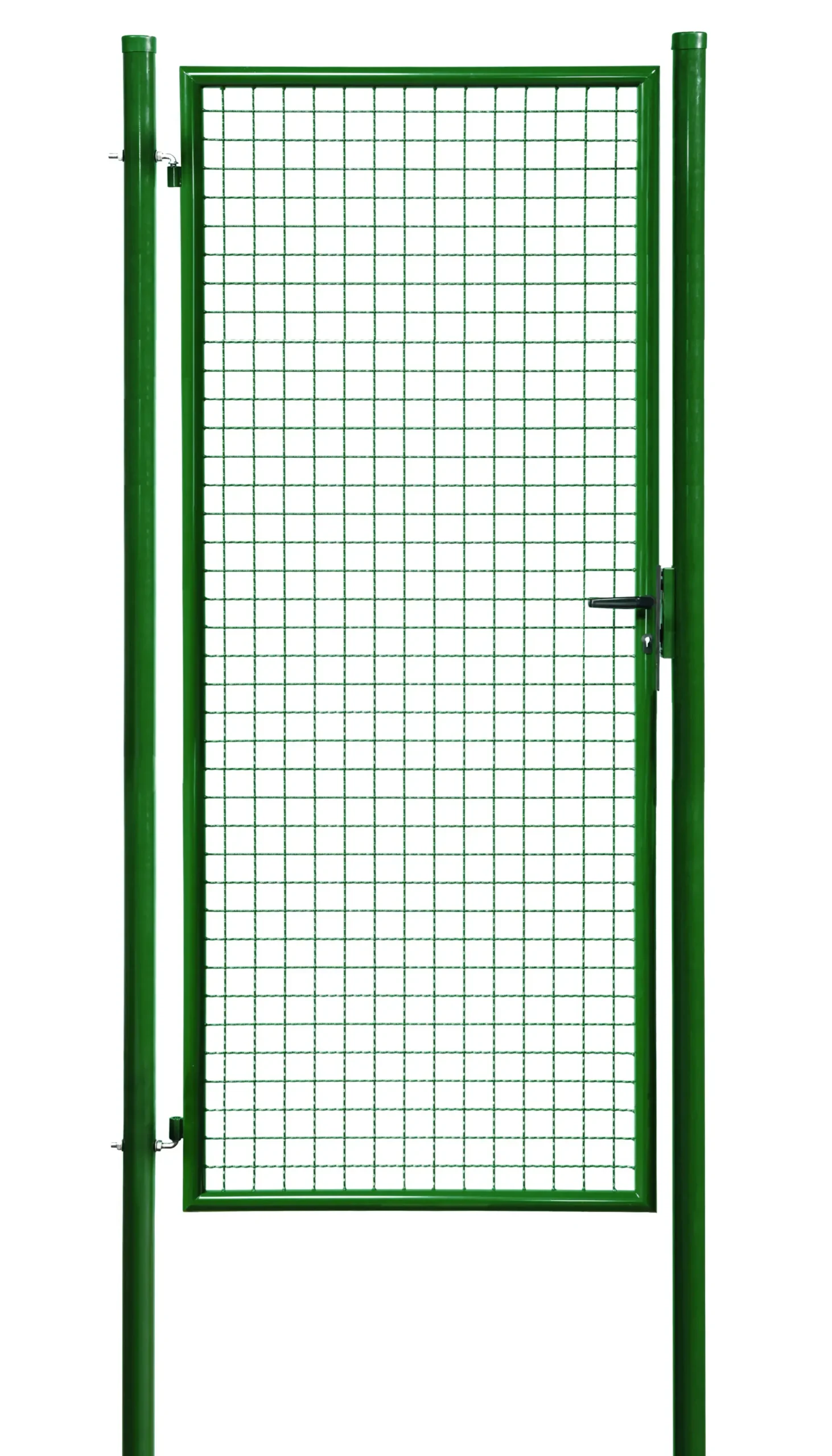 Floraworld Gartentor Standard 100 x 200 cm moosgrün