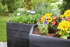 Garantia Ergo Hochbeet 25 cm 25 x 55 cm