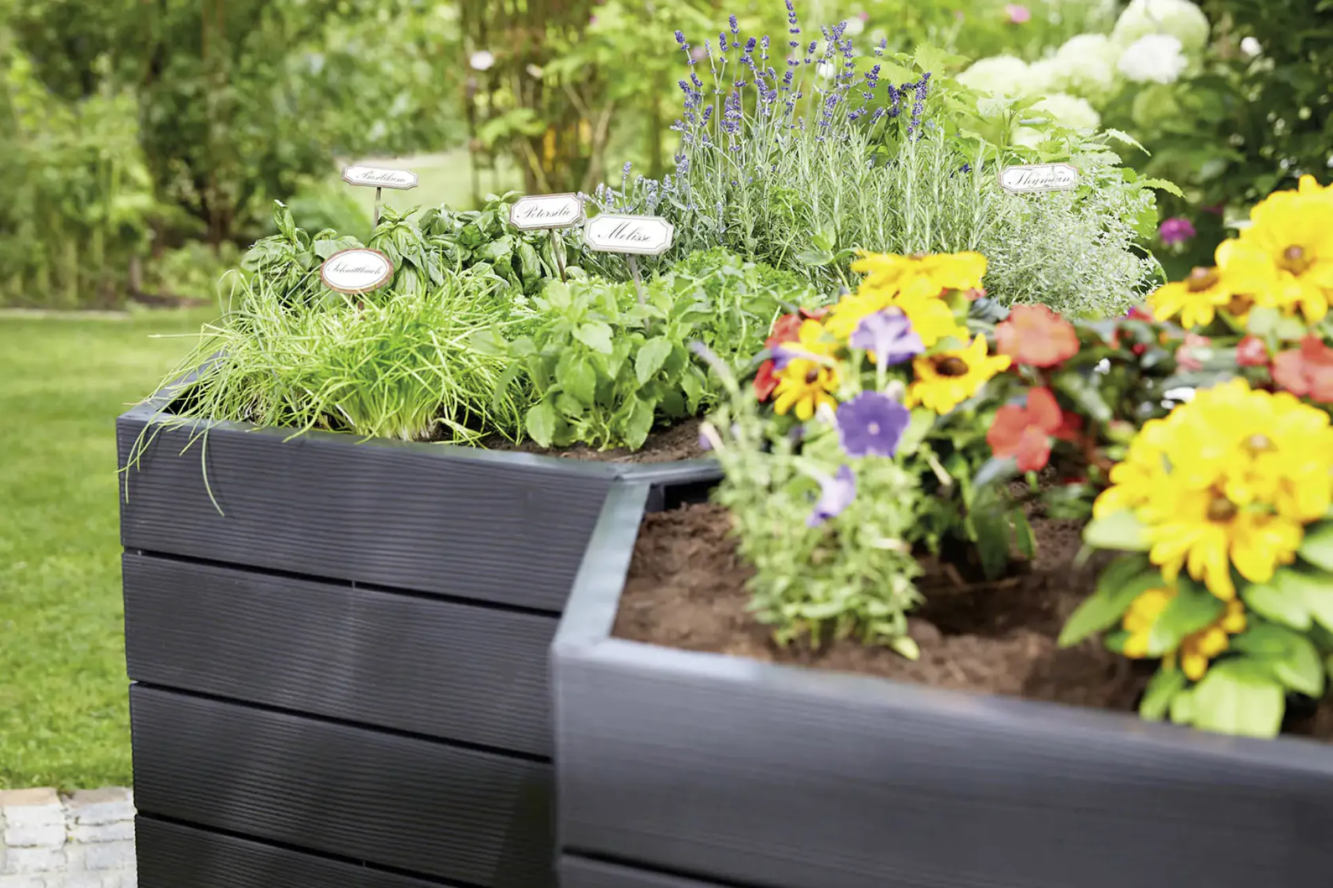 Garantia Hochbeet Ergo XL 75 mit FLORA-Wassersparsystem, 145 x 75 cm