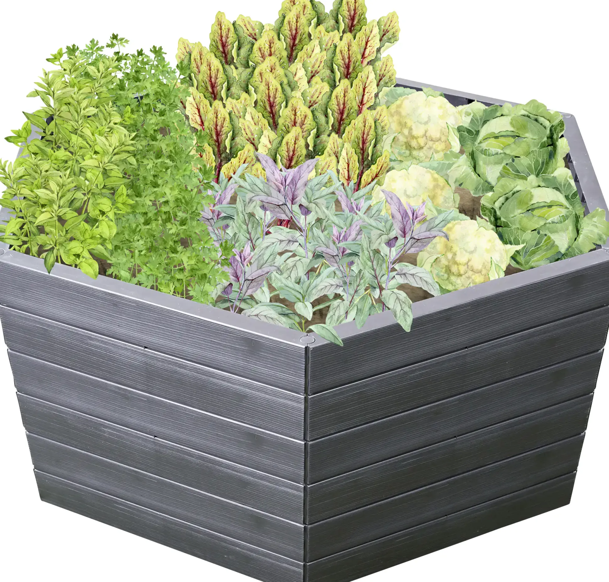 Garantia Hochbeet Ergo XL 75 mit FLORA-Wassersparsystem, 145 x 75 cm