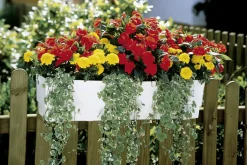 Gardena Blumenkastenbewässerung, vollautomatisch
