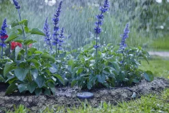 Gardena Bodenfeuchtesensor 01867-20