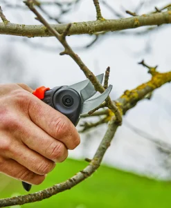 Gardena Gartenschere ExpertCut max. Aststärke Ø 22 mm