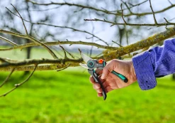 Gardena Gartenschere ExpertCut max. Aststärke Ø 22 mm