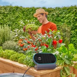 Gardena Solar-Bewässerung AquaBloom L Set