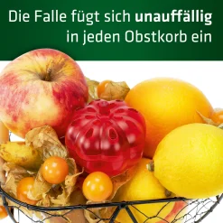 Gardigo Fruchtfliegen-Falle Mini 2er-Set