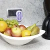Gardigo Obstfliegen Vernichter direkt aus der Steckdose, Insektenvernichter